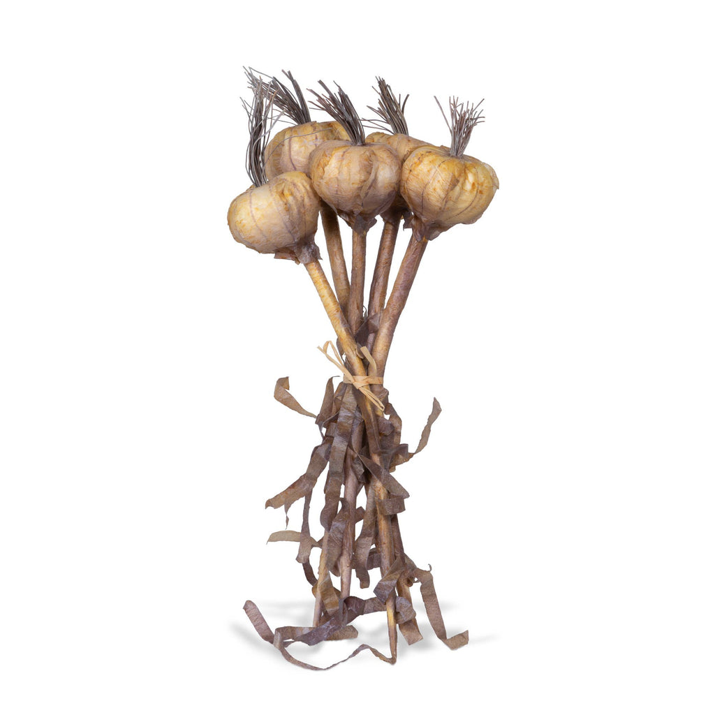 Dried Garlic, Bundle of 5