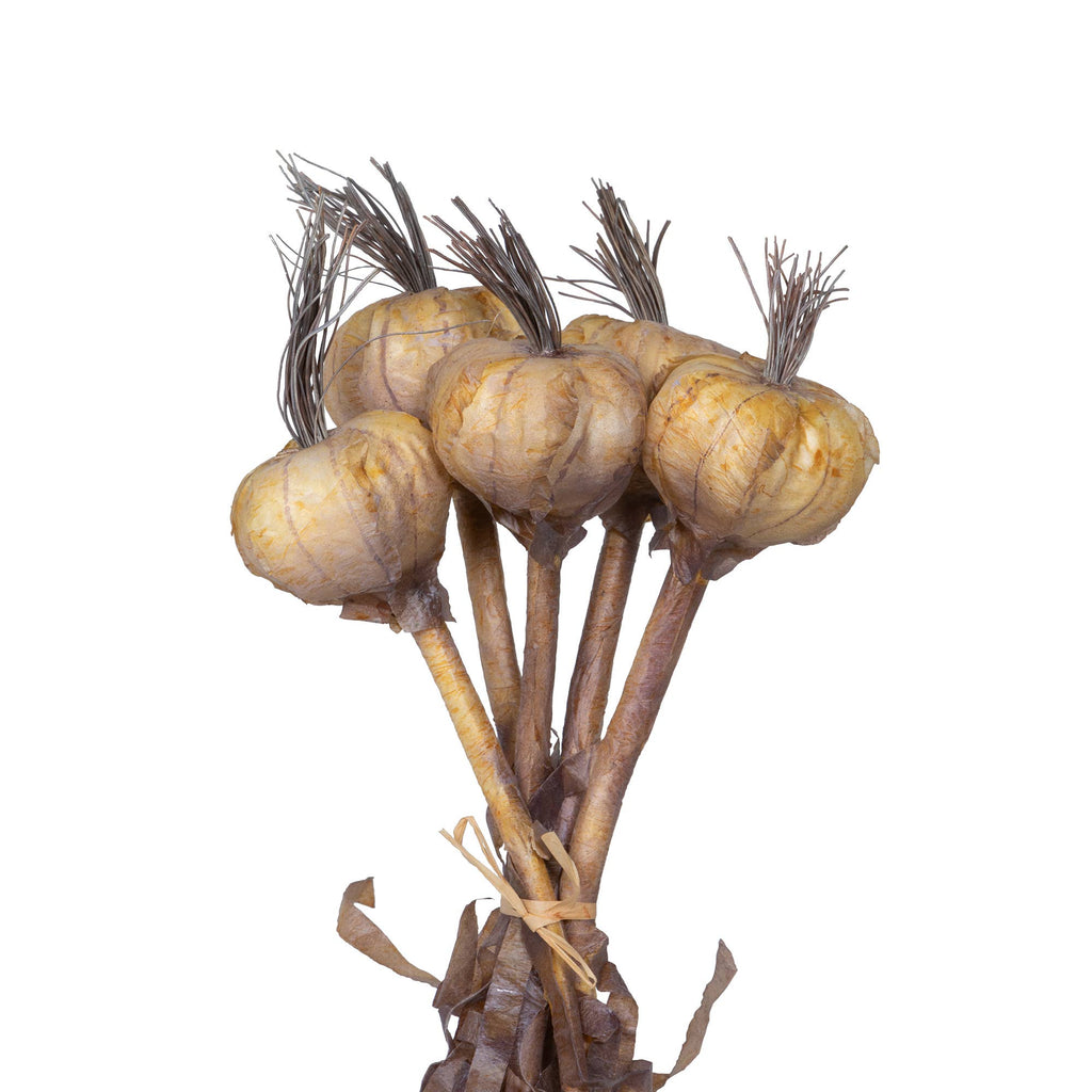 Dried Garlic, Bundle of 5