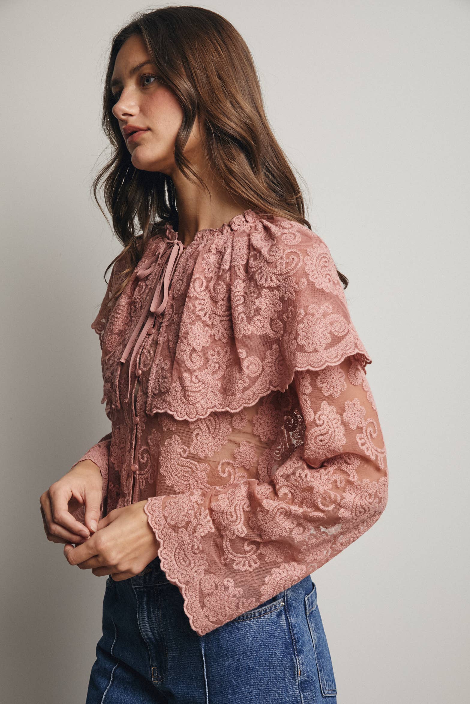 Sheer Embroidered Lace Blouse