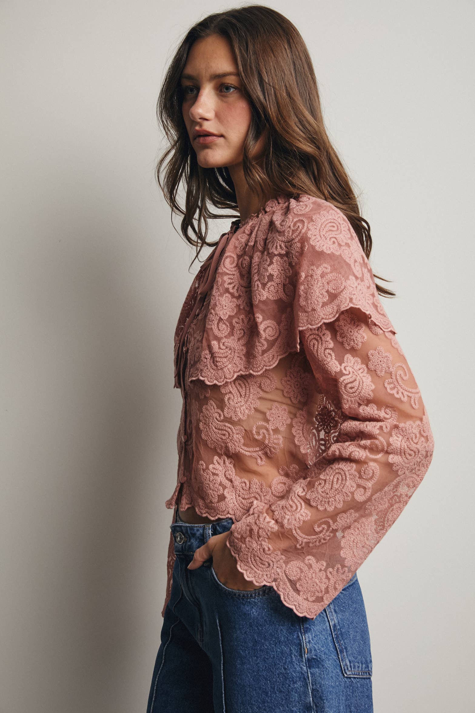 Sheer Embroidered Lace Blouse