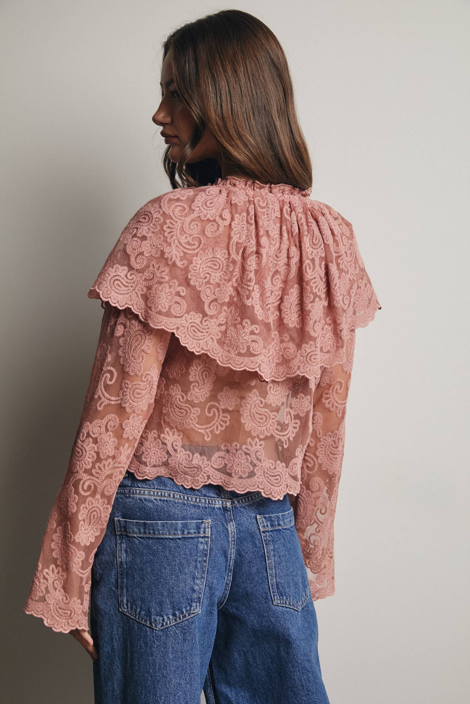 Sheer Embroidered Lace Blouse
