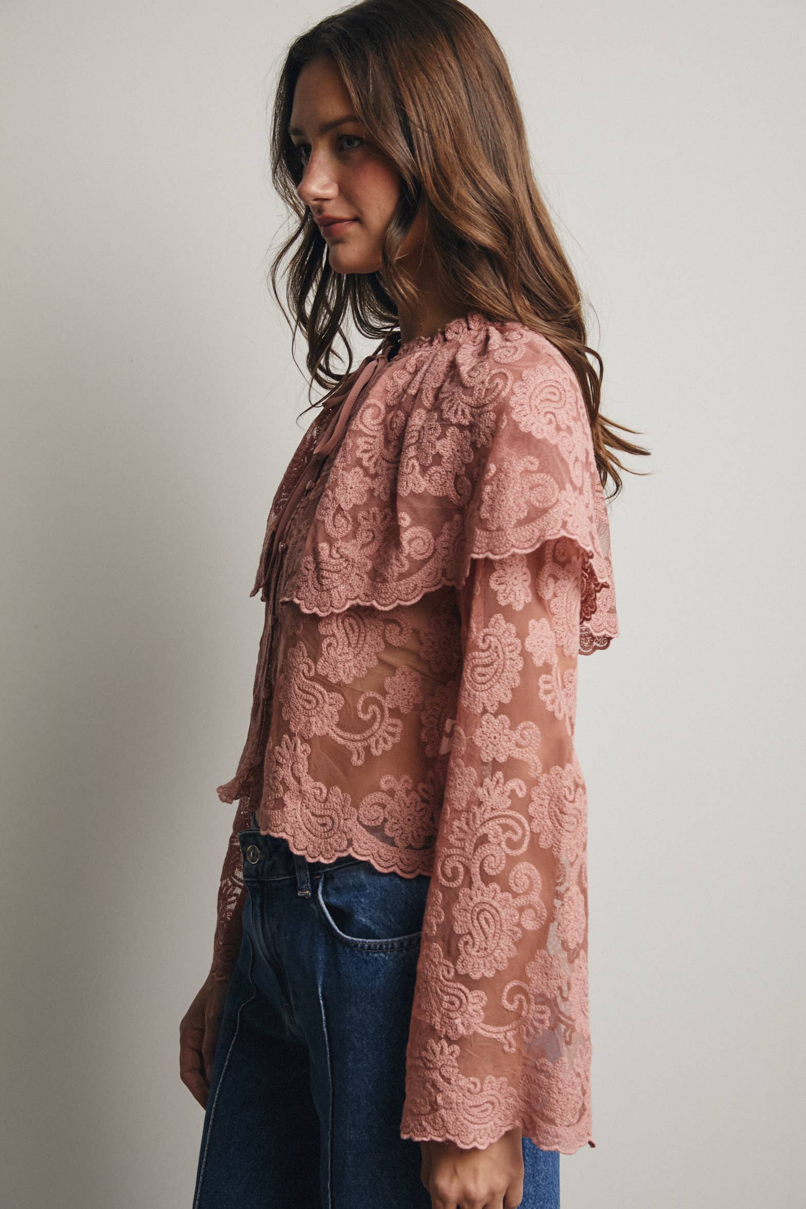 Sheer Embroidered Lace Blouse