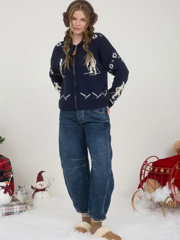 SKI PATTERN SHAWL COLLAR ZIP UP KNIT CARDIGAN