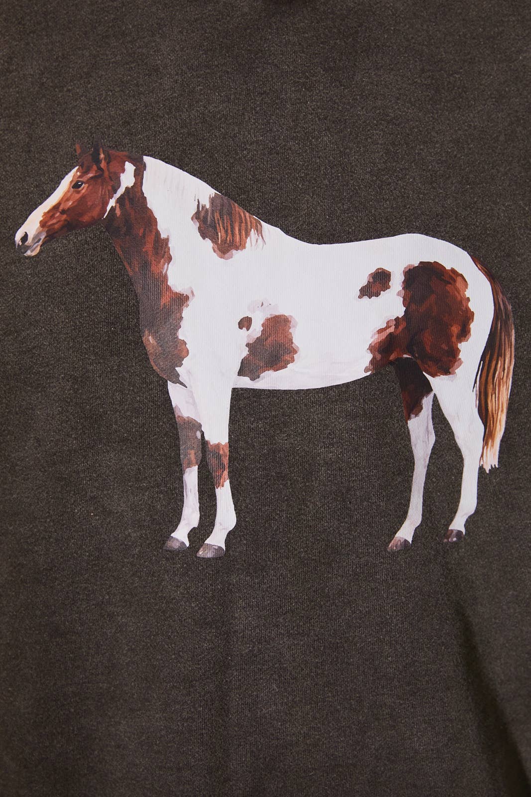"HORSE" GRAPHIC LONG SLEEVE SWEATSHIRT