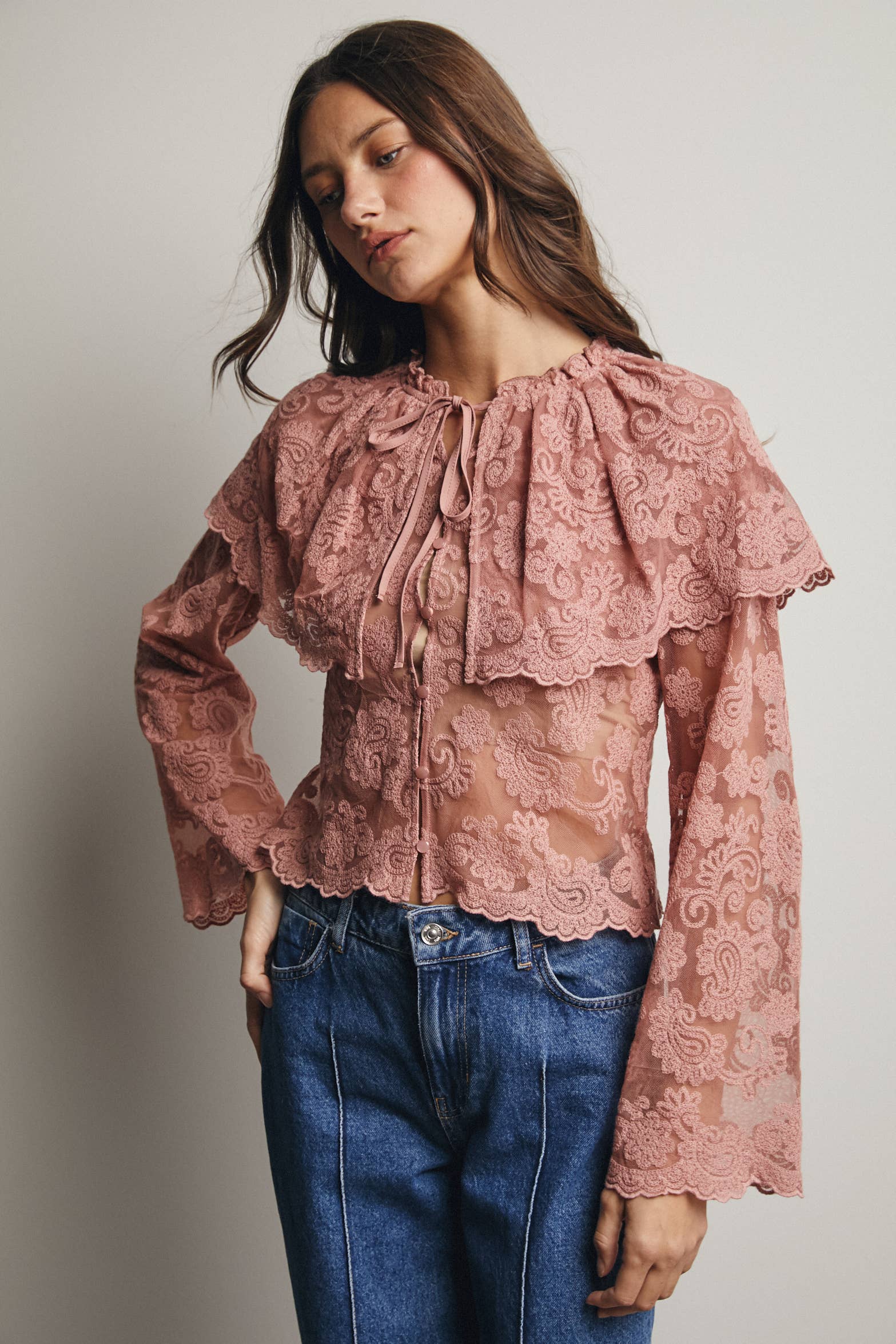Sheer Embroidered Lace Blouse