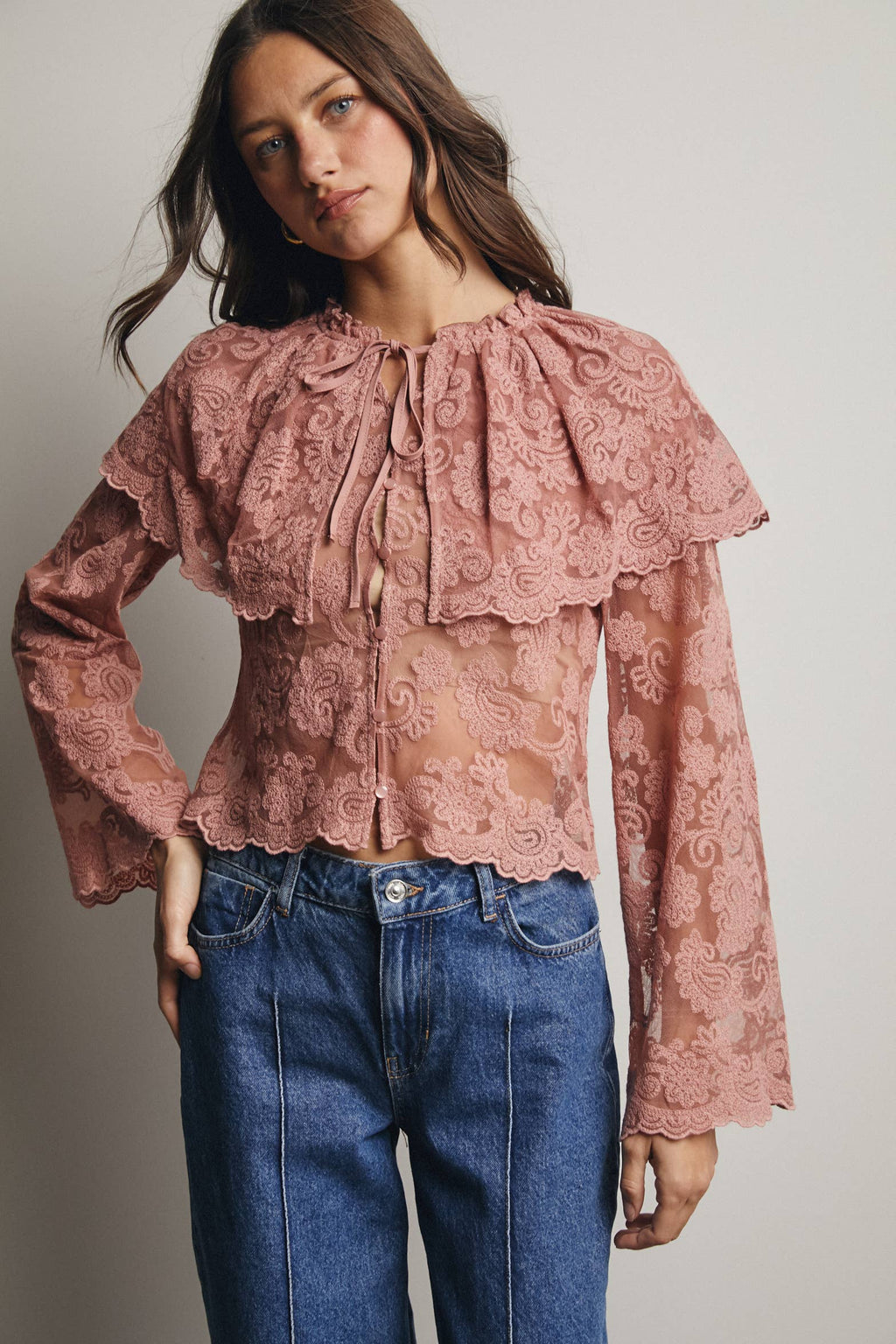 Sheer Embroidered Lace Blouse