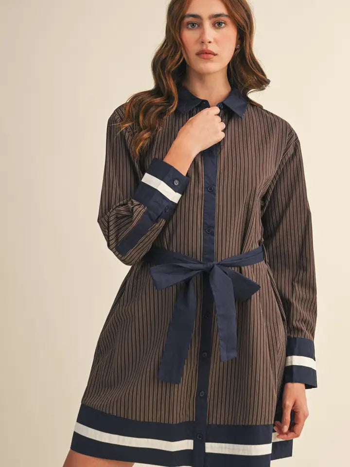 Striped Button Down Belted Mini Dress