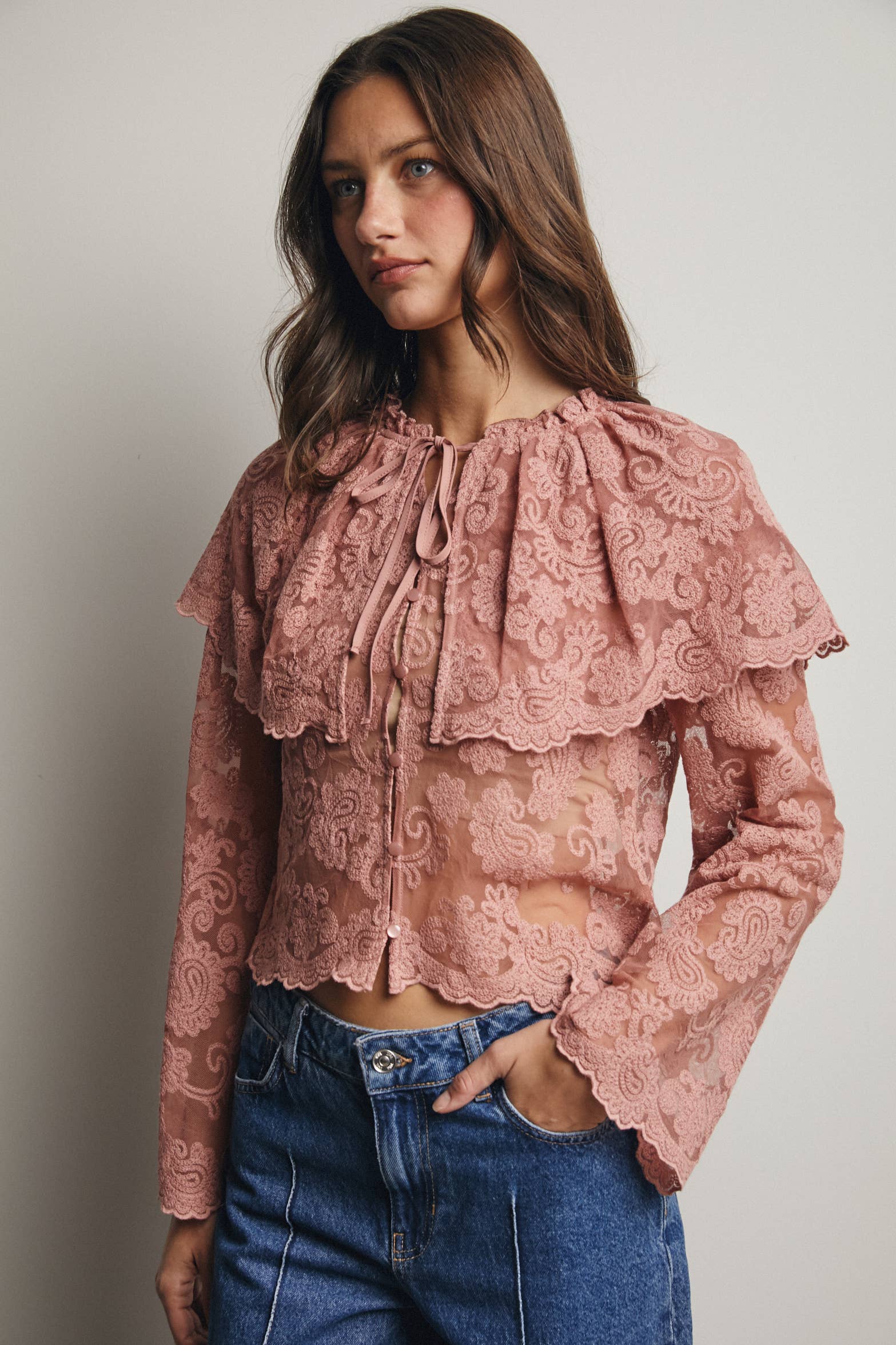 Sheer Embroidered Lace Blouse