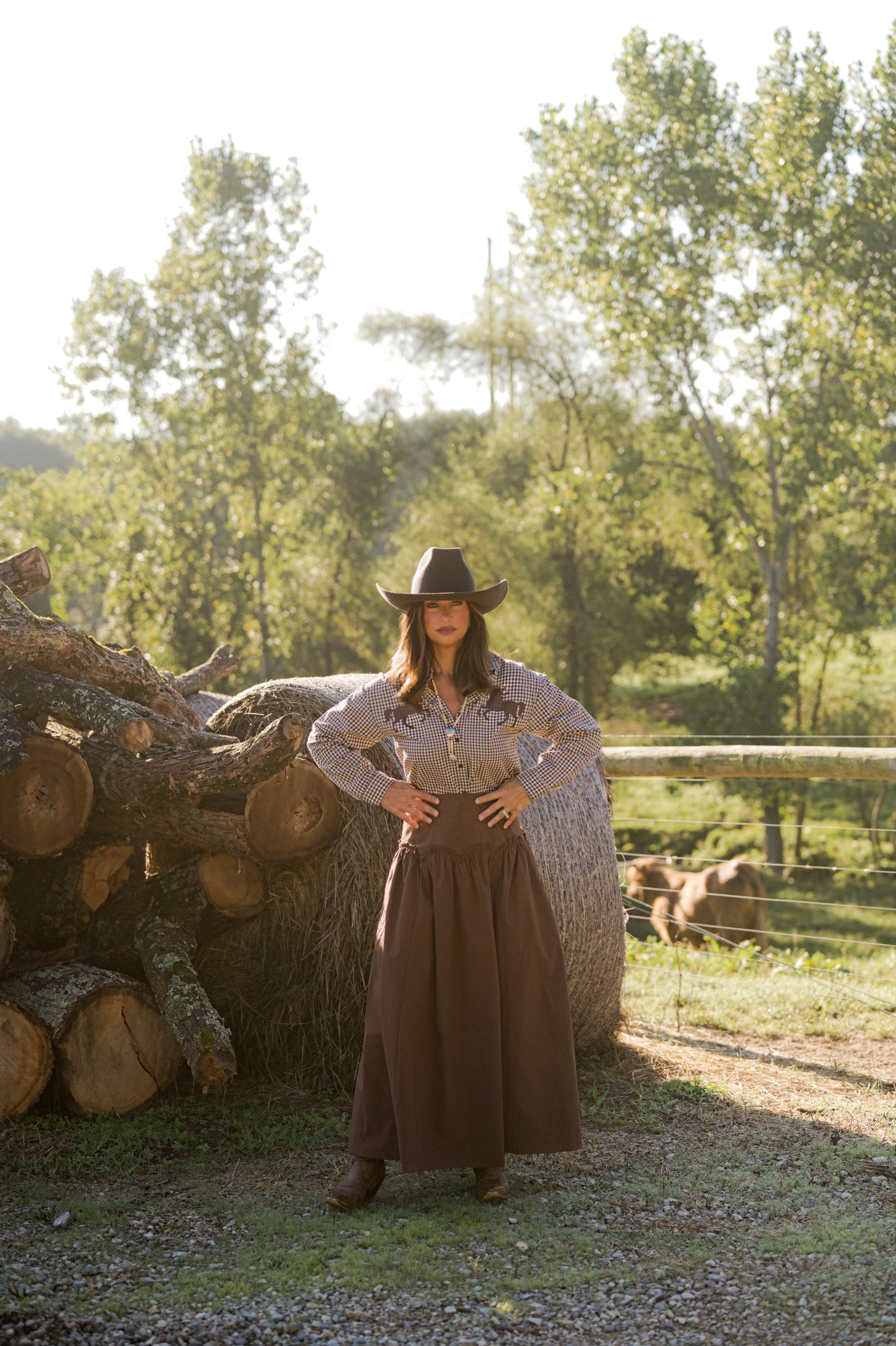 Western Horse Gingham Shirt