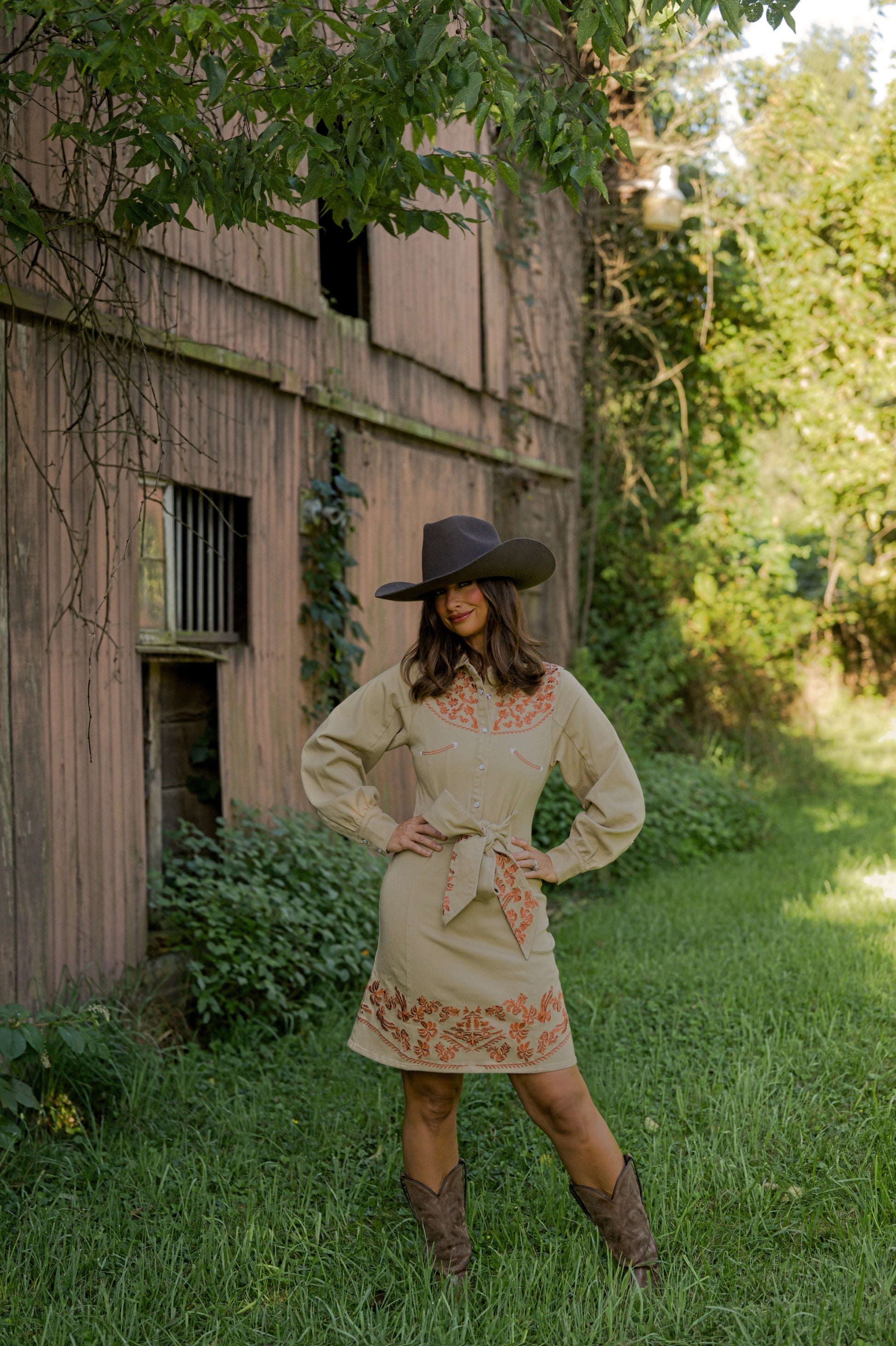 Embroidery Self Tie Denim Dress