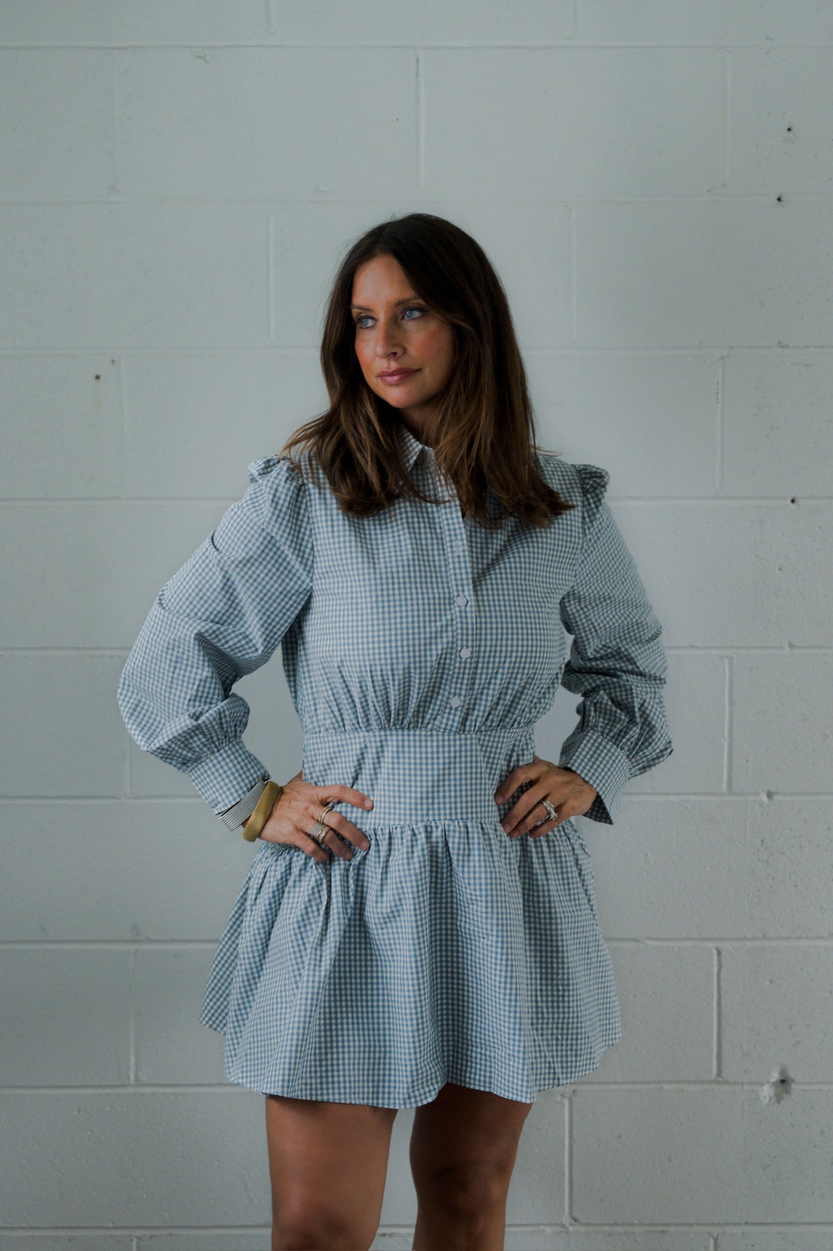 Basque Waist Gingham Shirt Dress