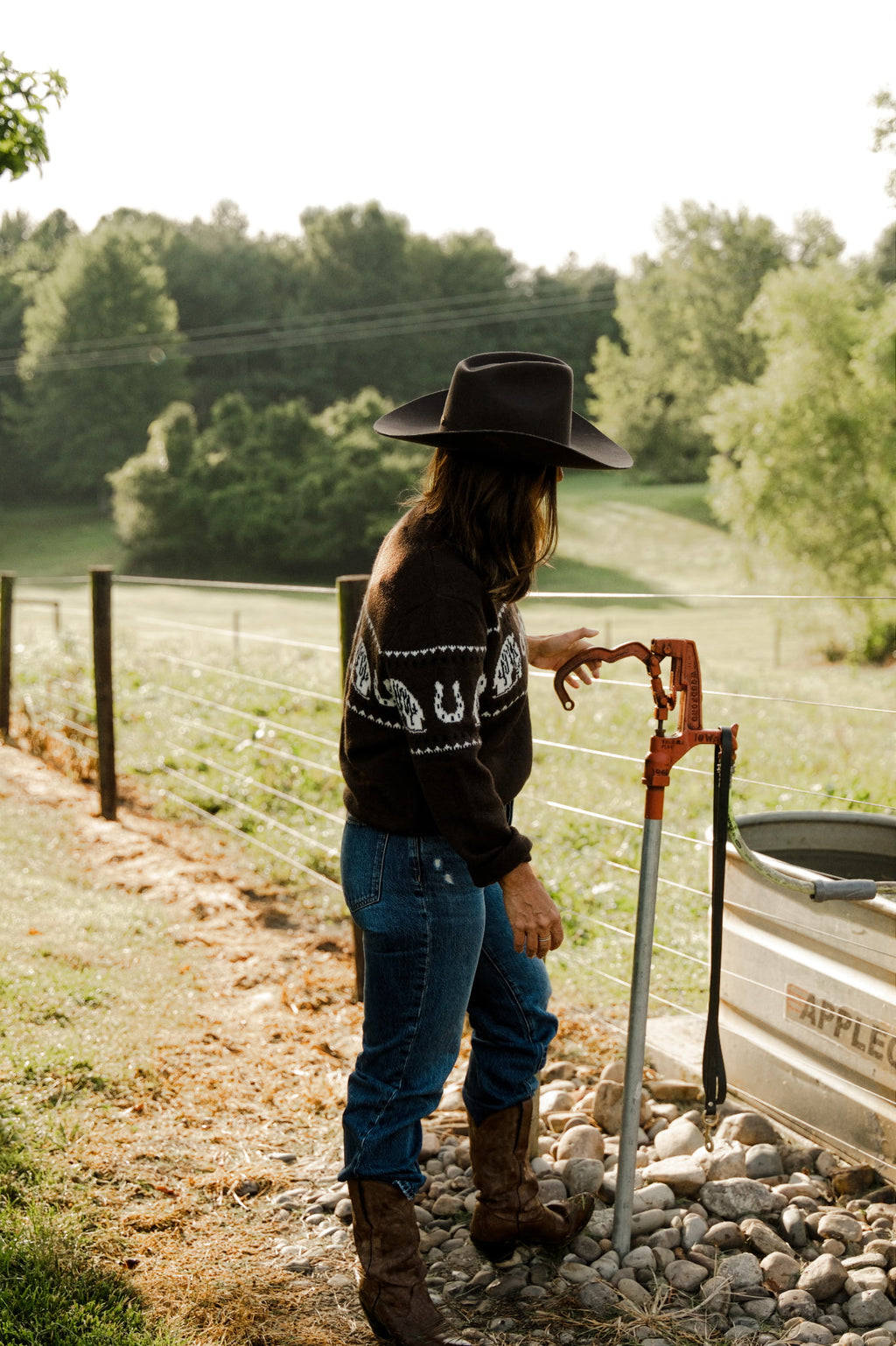 Horse Pattern Crew Neck Western Sweater