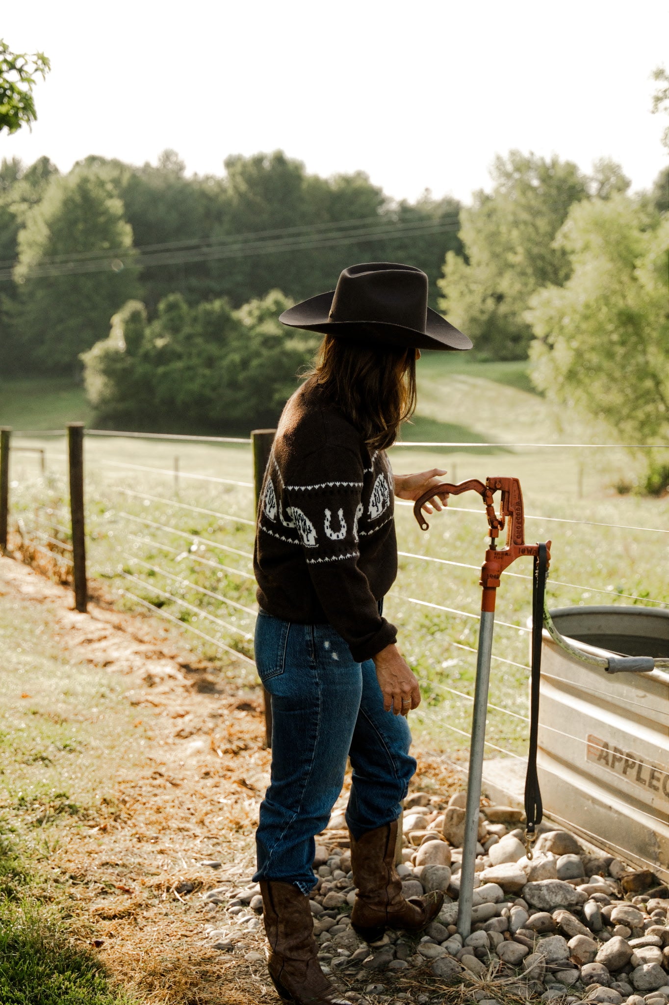 Horse Pattern Crew Neck Western Sweater