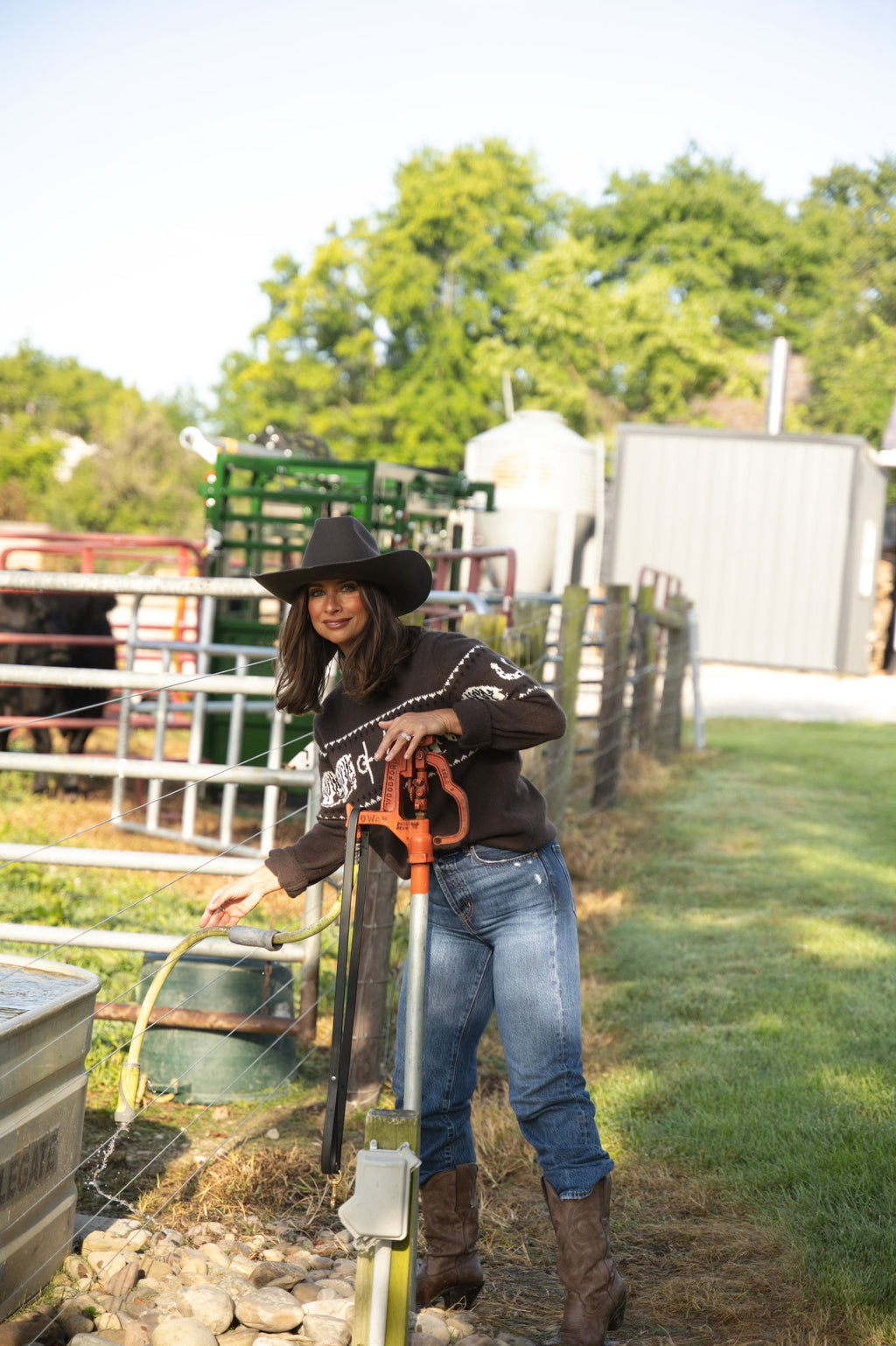 Horse Pattern Crew Neck Western Sweater