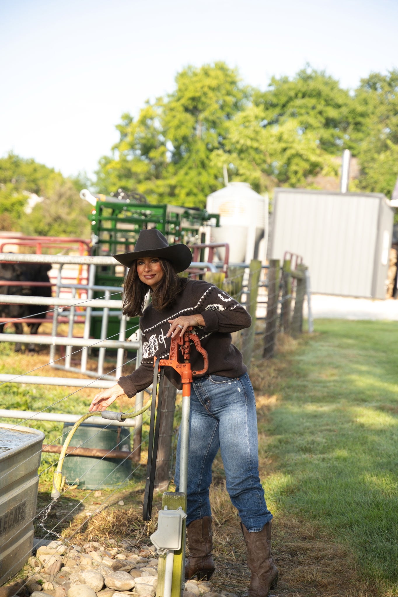 Horse Pattern Crew Neck Western Sweater