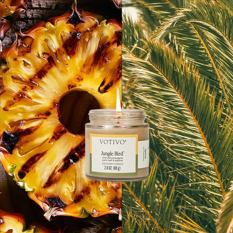 Votivo Jungle Bird Discovery Candle