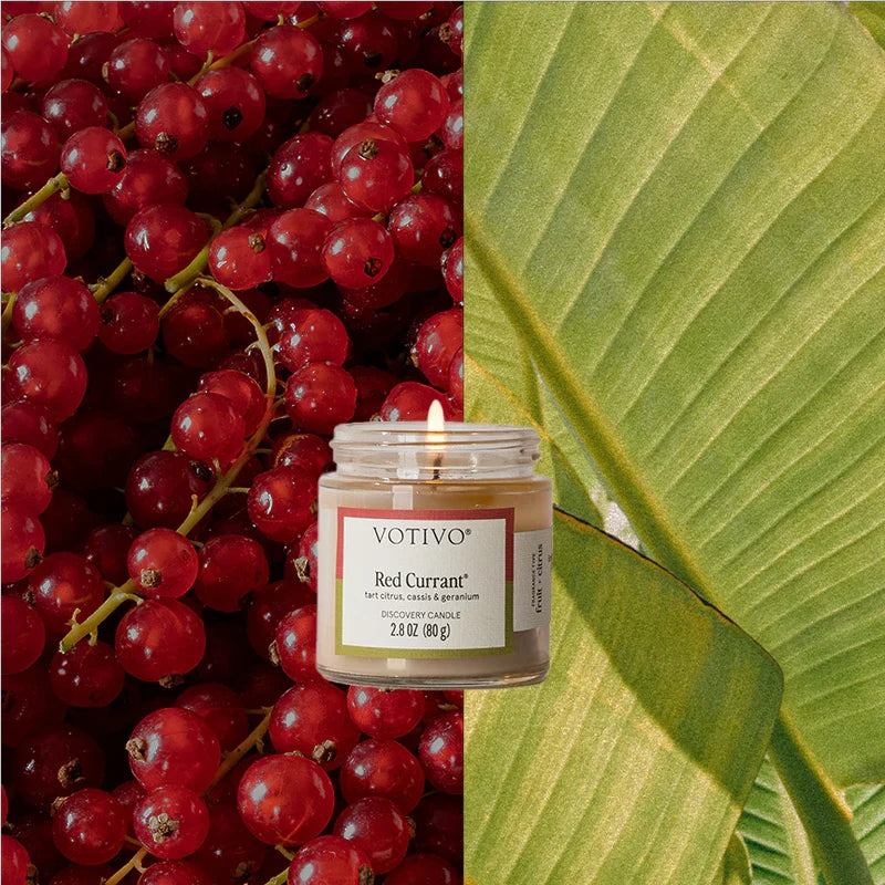 Votivo Red Currant Discovery Candle