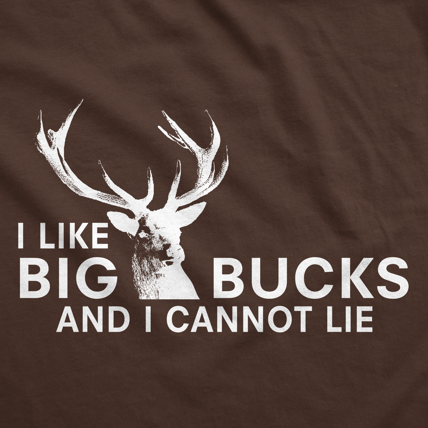 I Like Big Bucks Men's Tshirt Hunting Graphic Tee Western T