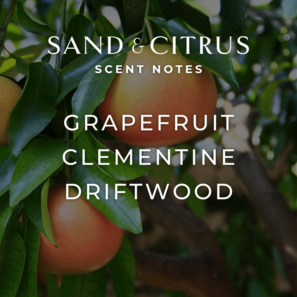 Sand & Citrus Room + Linen Spray