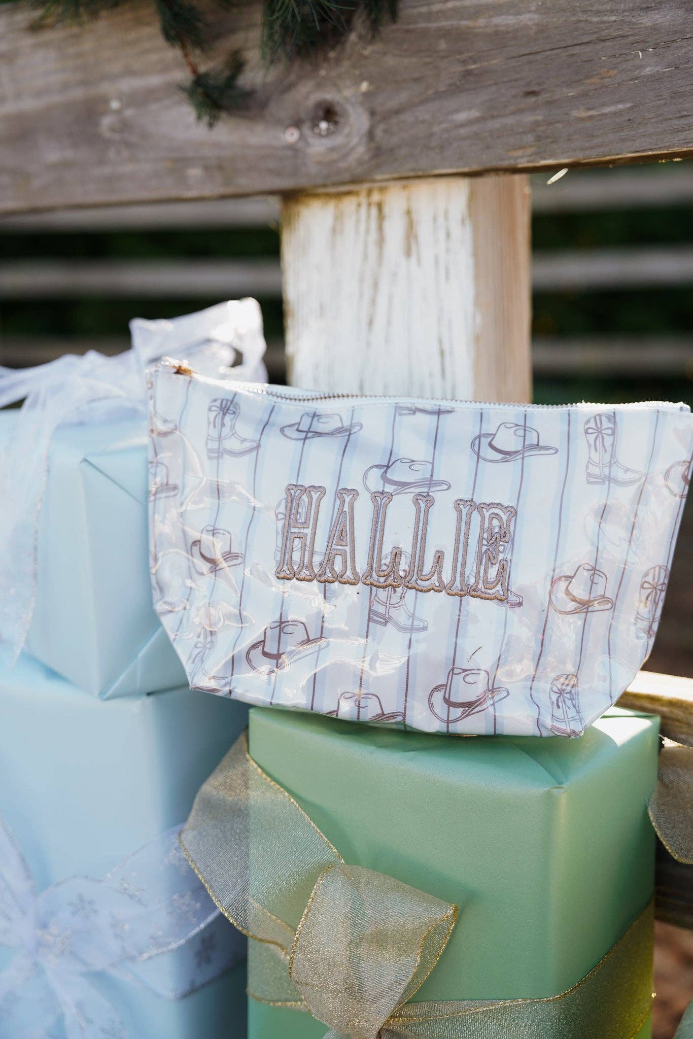 Western Blues Striped - Clear Coat Bag