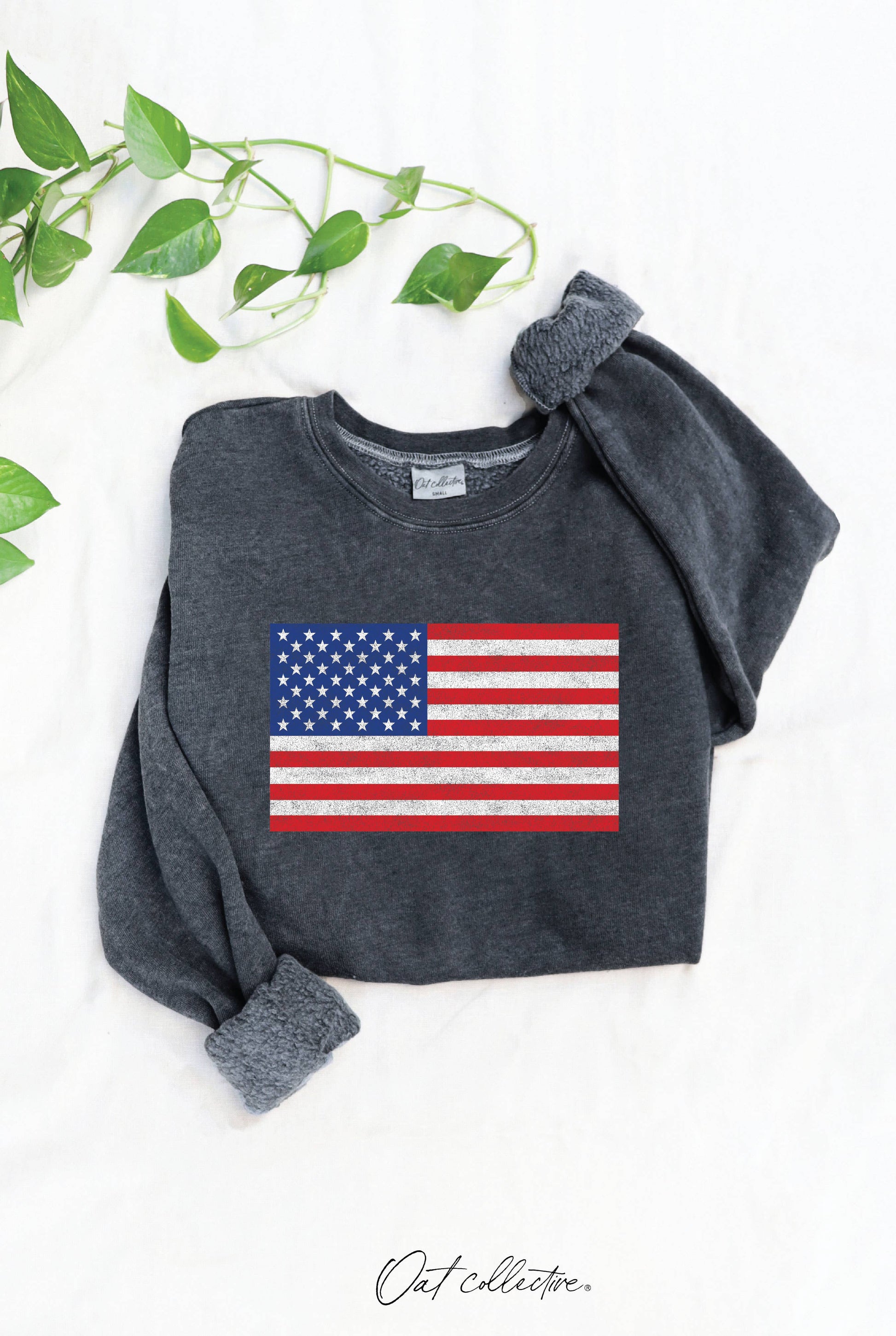 USA FLAG Mineral Graphic Sweatshirt