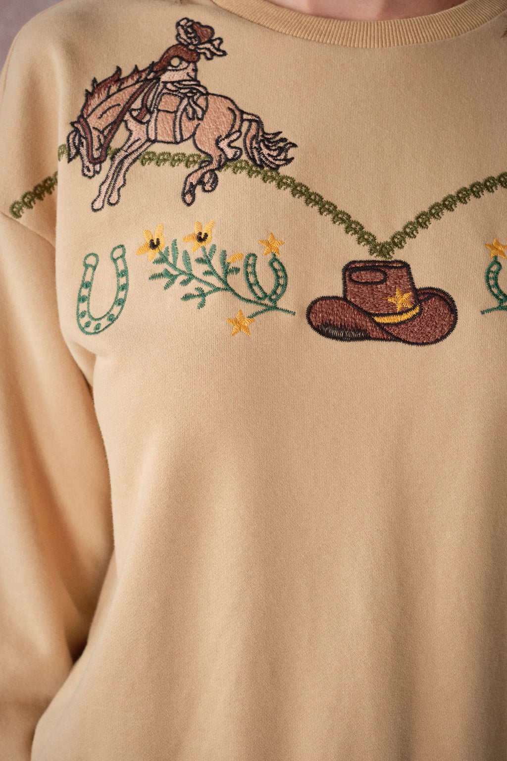 Western Embroidered Terry Pullover