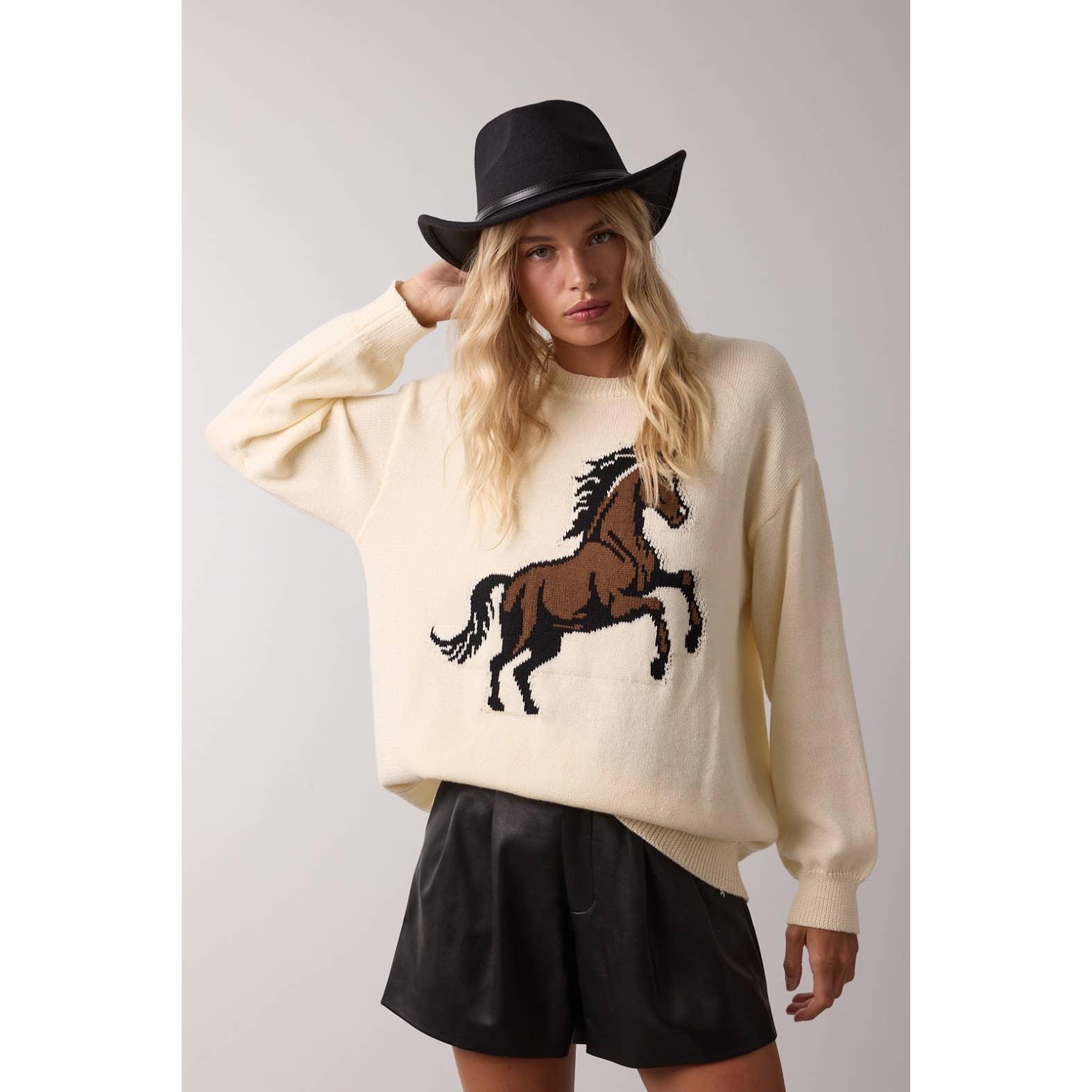 'HORSE' KNIT SWEATER / WL25-11664