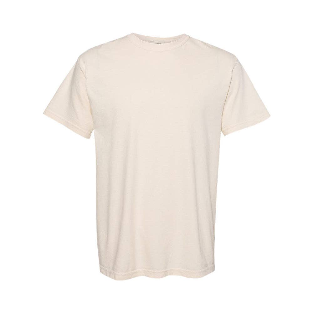 USA Embroidered Icons Comfort Colors T-Shirt