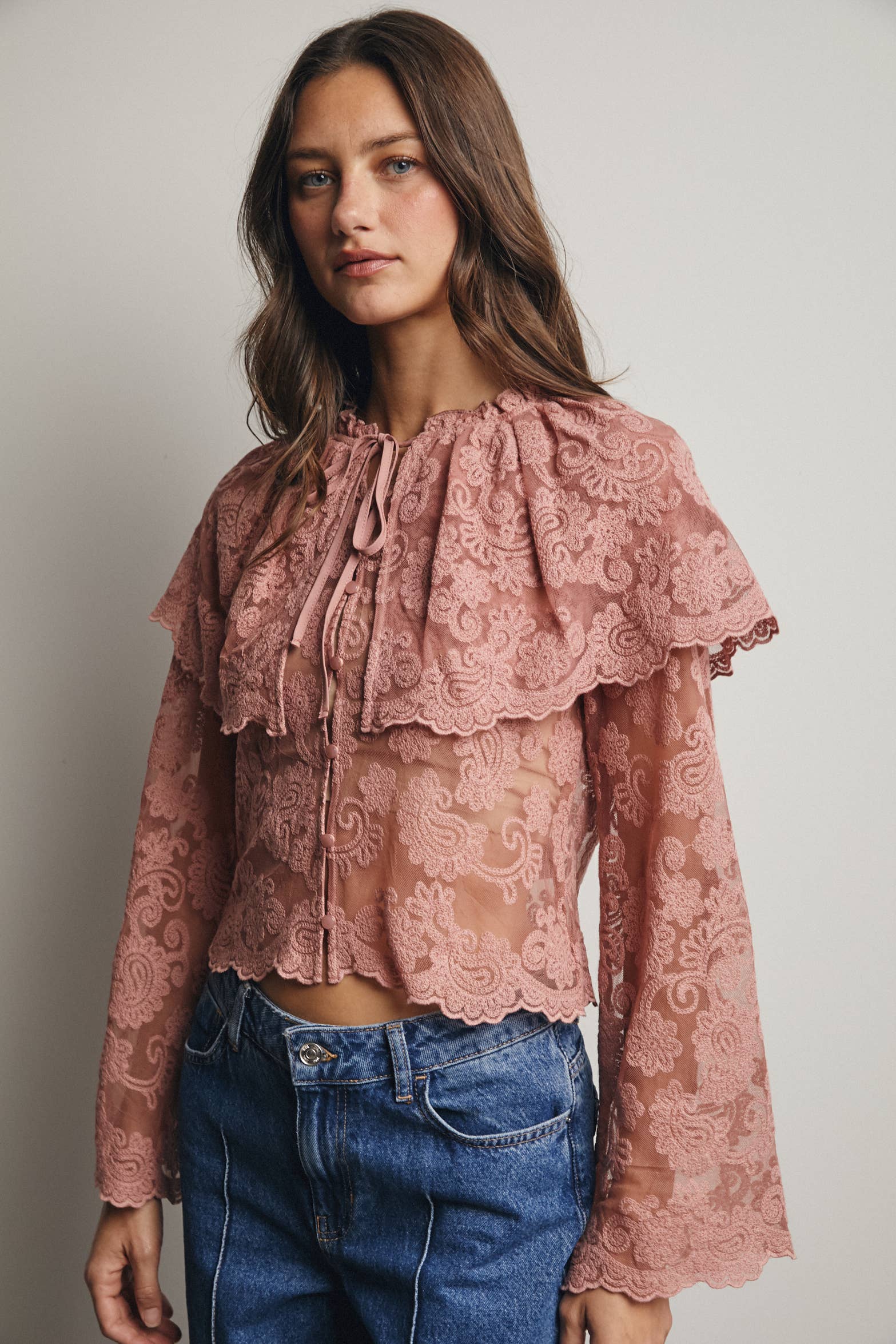 Sheer Embroidered Lace Blouse