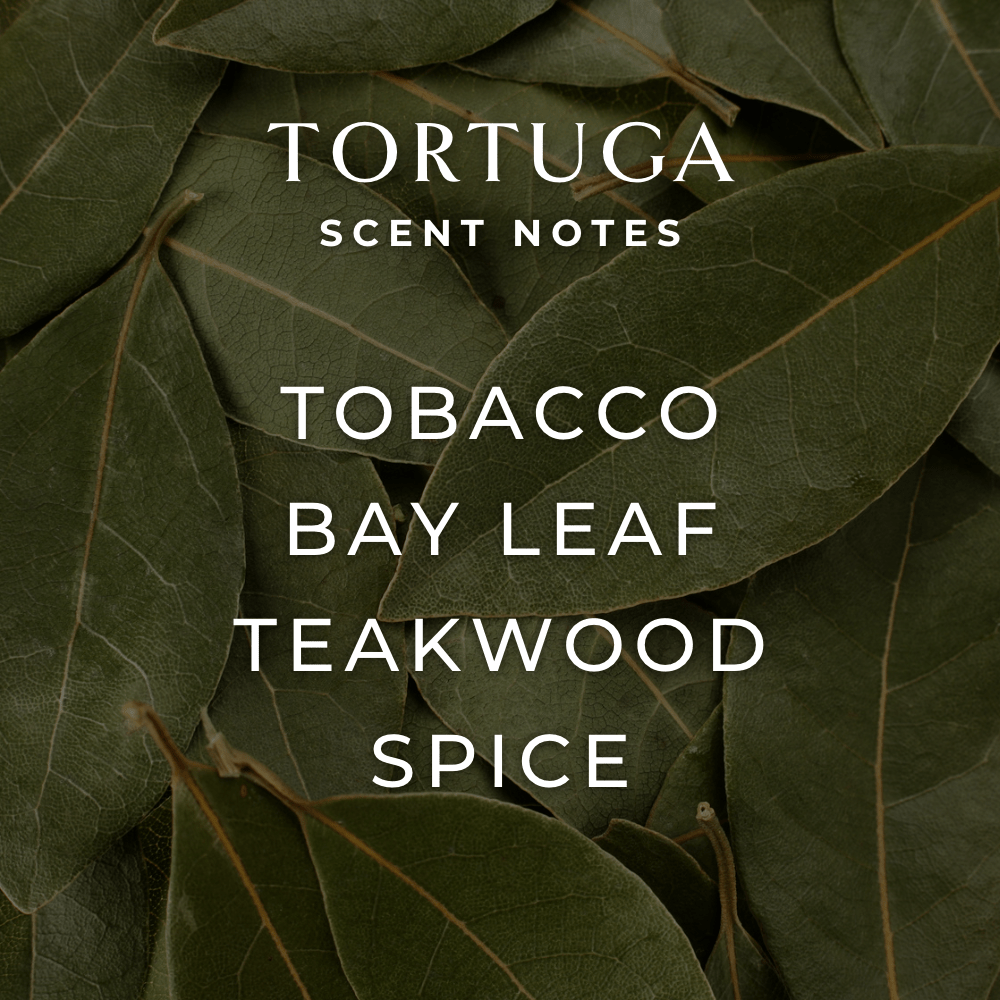 Tortuga Room + Linen Spray