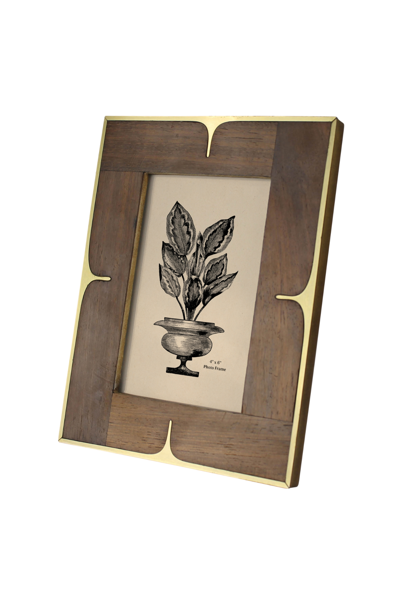 Wood/Brass 4x6 Frame