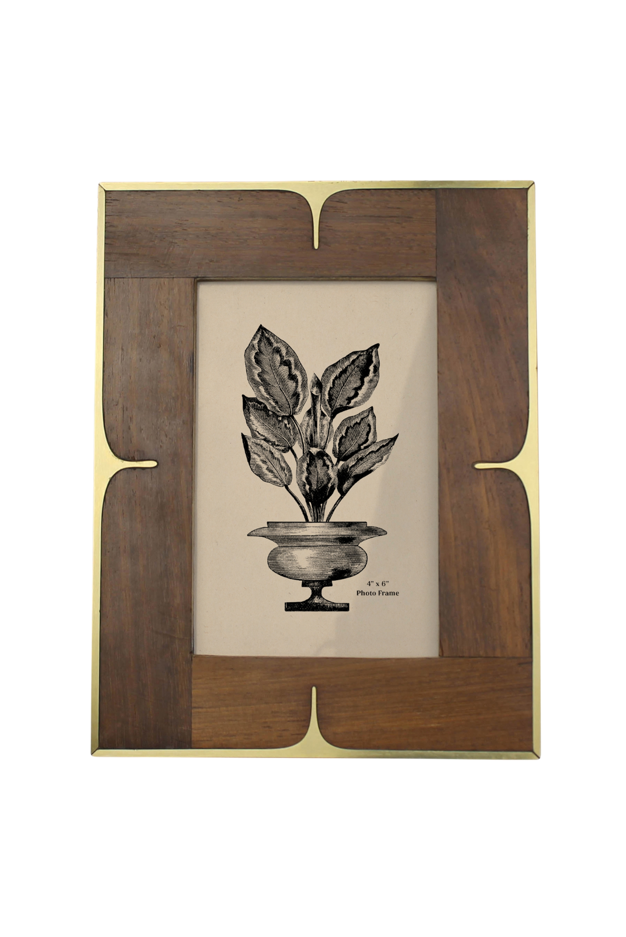 Wood/Brass 4x6 Frame