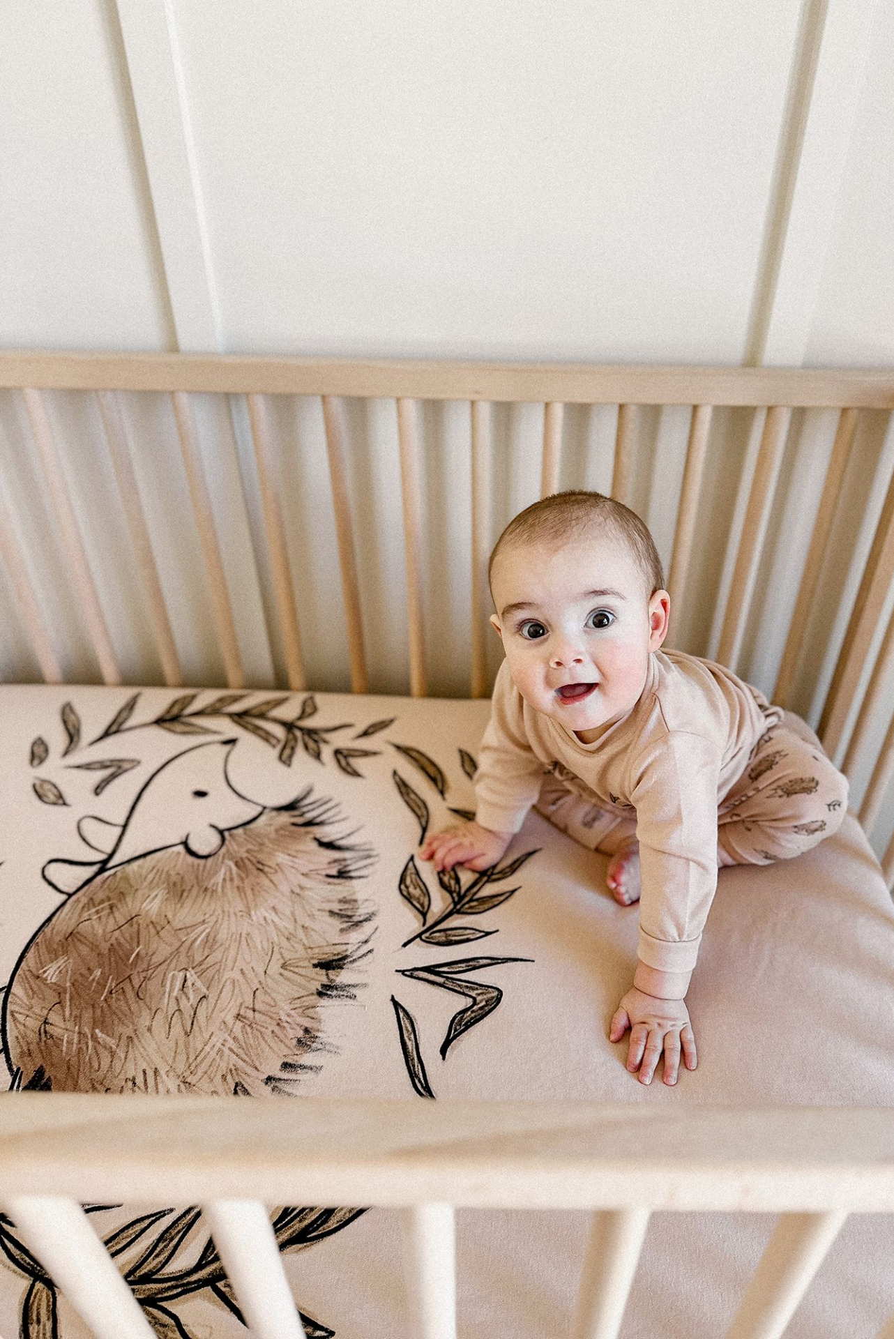 Organic Crib Sheets