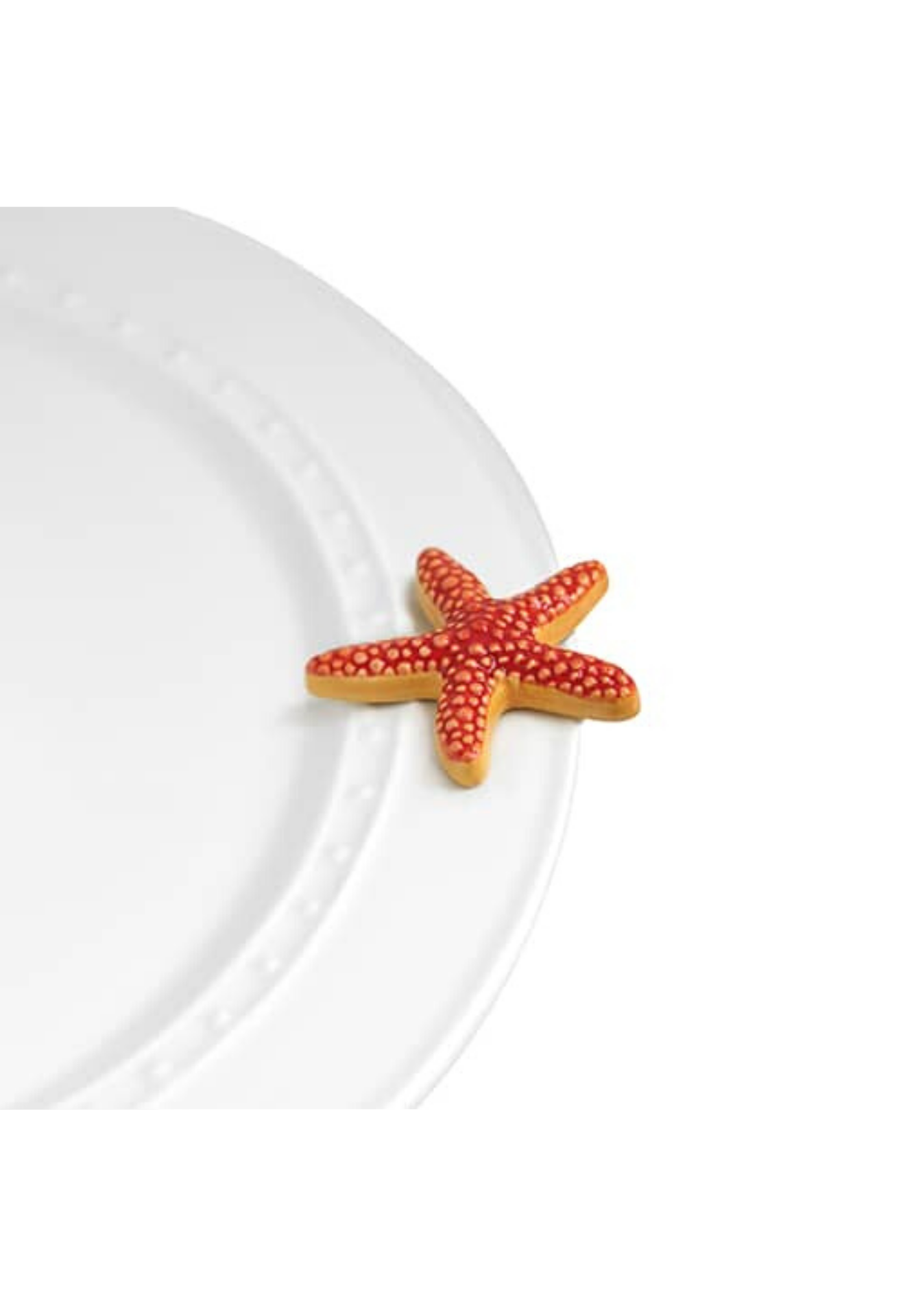 sea star (starfish) A66