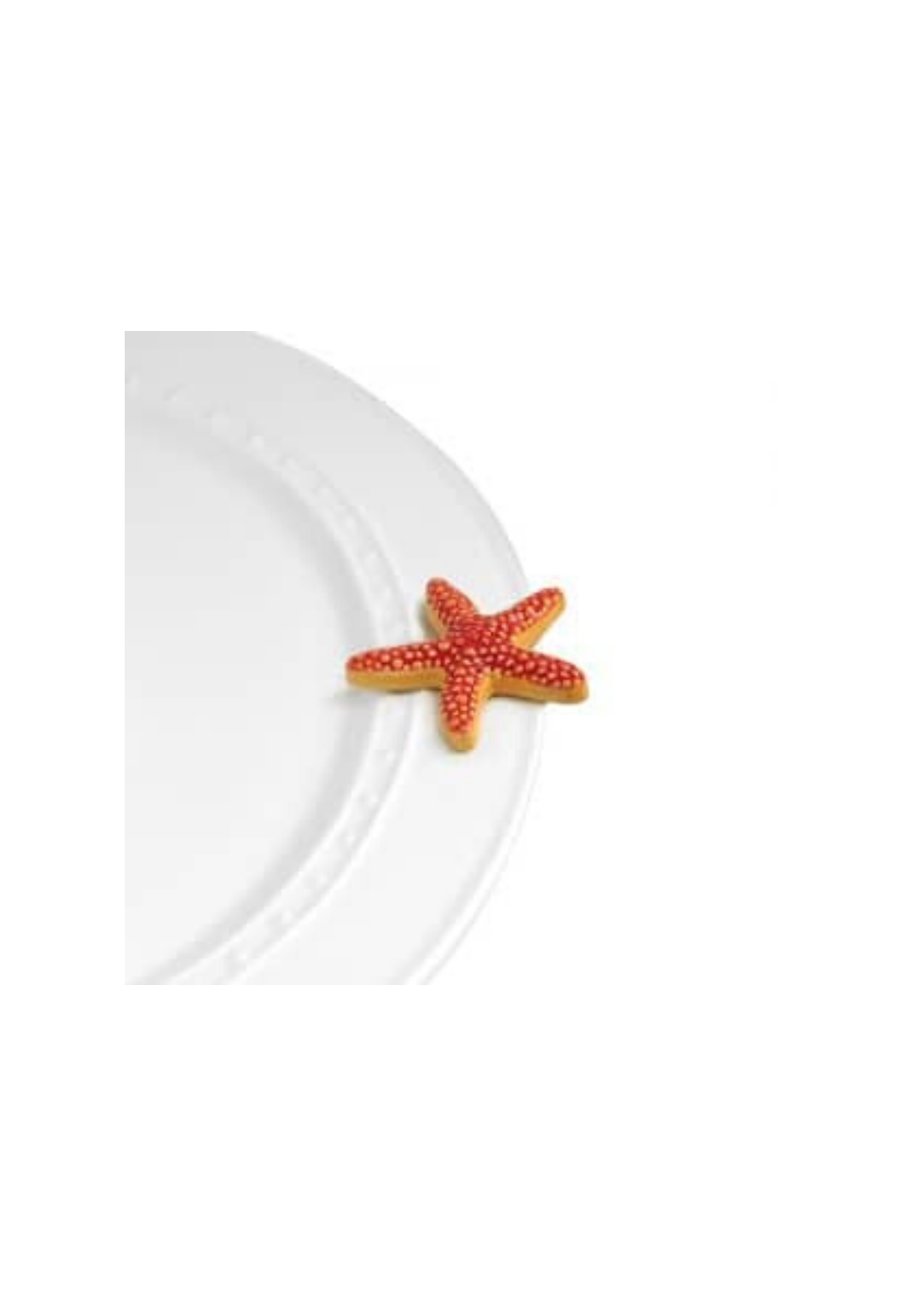 sea star (starfish) A66